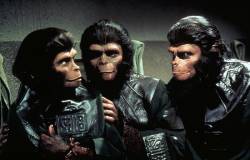 Život, svoboda a pronásledování na Planetě opic TVRIP (movie)