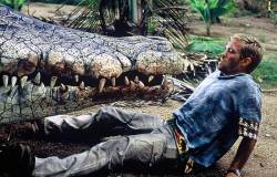 Krokodýl 2 SD (movie)